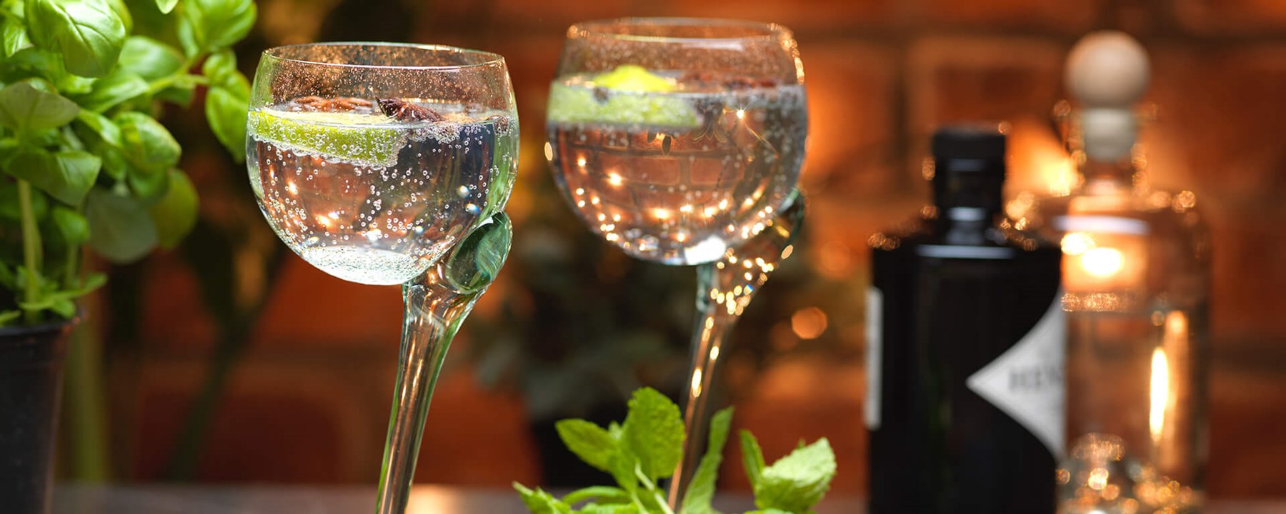 Gin & Tonic Goblet